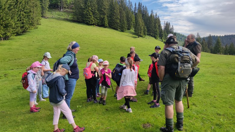 Exkusion-Birkwild und Grünspecht-Mitterbach, © Naturpark Ötscher-Tormäuer